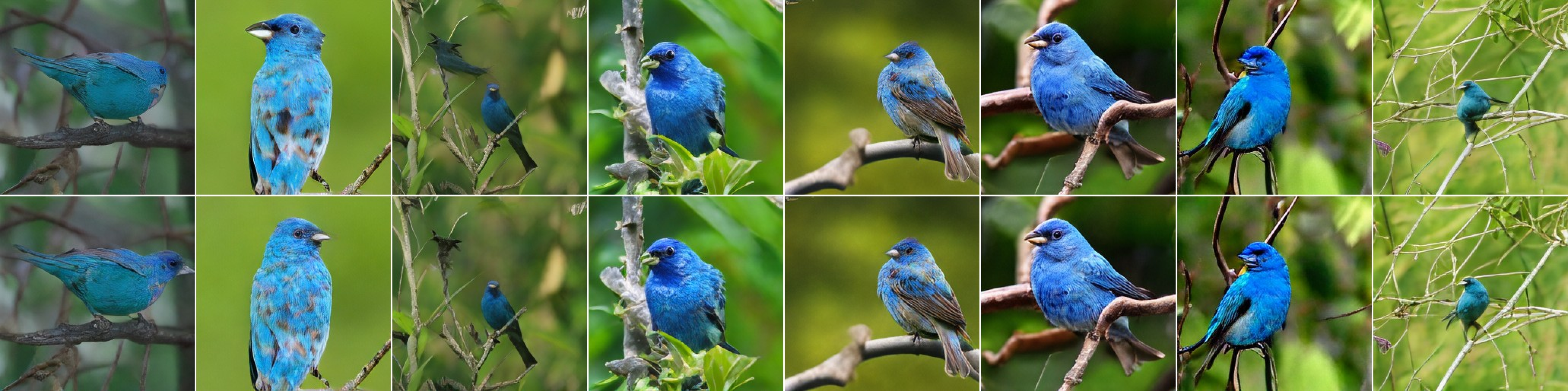 Indigo bunting samples before and after decoder adaptation.