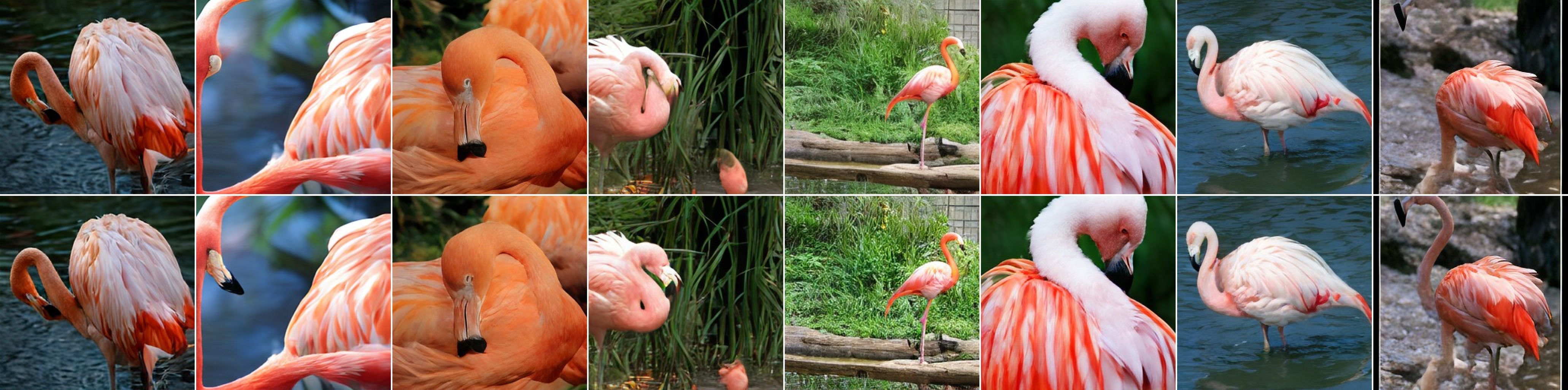 Flamingo samples before and after decoder adaptation.